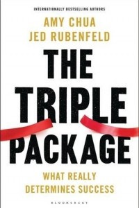 Книга The Triple Package: What Really Determines Success