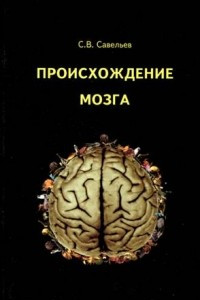 Происхождение мозга