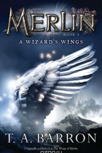 Книга The Wizard's Wings