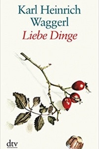 Книга Liebe Dinge: Miniaturen