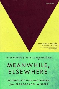 Книга Meanwhile, Elsewhere: Science Fiction and Fantasy from Transgender Writers