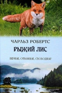 Книга Рыжий лис