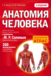 Книга Анатомия человека: 2 издание