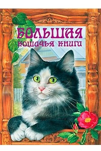 Книга Большая кошачья книга