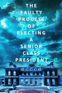 Книга The Faulty Process of Electing