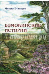 Книга Взмокинские истории