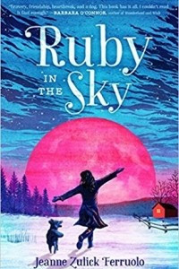 Книга Ruby in the Sky