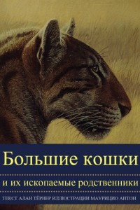 Книга Большие кошки и их ископаемые родственники
