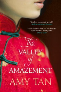 Книга The Valley of Amazement