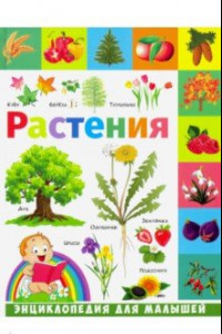 Книга Растения