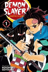 Книга Demon Slayer: Kimetsu no Yaiba, Vol. 1