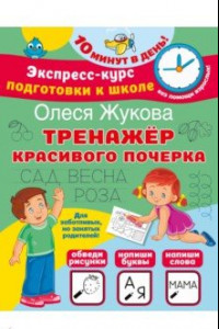 Книга Тренажер красивого почерка