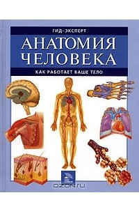 Книга Анатомия человека. Как работает ваше тело