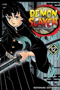 Книга Demon Slayer: Kimetsu no Yaiba, Vol. 12