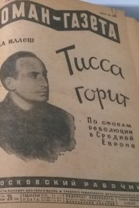 Книга «Роман-газета», 1929, № 3(33)