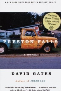 Книга Preston Falls: A Novel