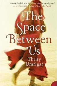 Книга The Space Between Us