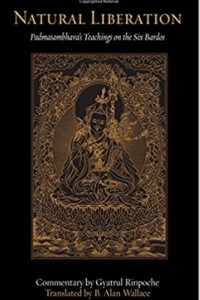 Книга Natural Liberation: Padmasambhava's Teachings on the Six Bardos