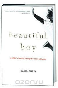 Книга Beautiful Boy: A Father's Journey Through His Son's Meth Addiction