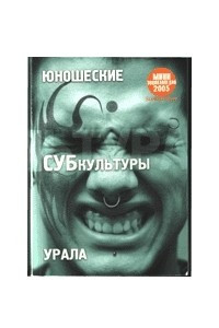 Книга Юношеские субкультуры Урала