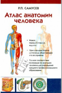 Книга Атлас анатомии человека. Учебное пособие для студентов учреждений среднего профессионального образ