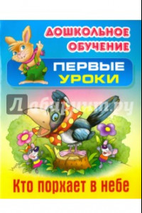 Книга Кто порхает в небе