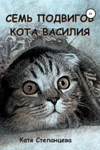 Книга Семь подвигов кота Василия