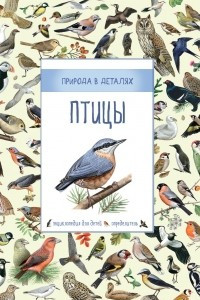 Книга Птицы. Энциклопедия для детей. Определитель