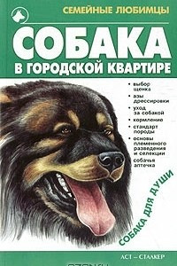 Книга Собака в городской квартире