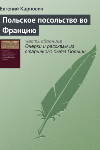 Книга Польское посольство во Францию