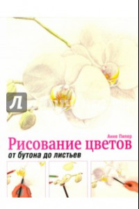 Книга Рисование цветов от бутона до листьев