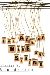 Книга The Age of Wire and String