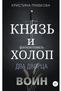 Книга Князь и Холоп. Воин