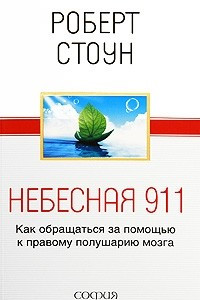 Книга Небесная 911