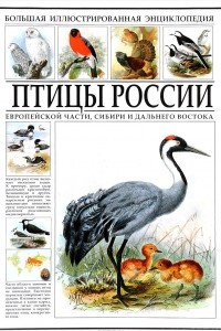 Большая иллюстрированная энциклопедия. Птицы России