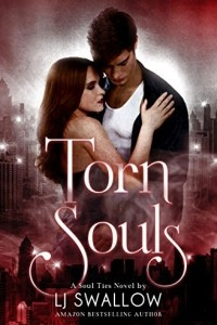 Книга Torn Souls