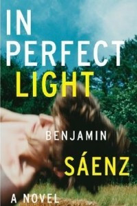 Книга In Perfect Light