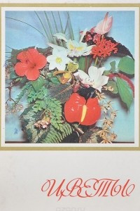 Книга Цветы. Комнатные растения и декоративно-цветущие кустарники