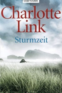 Книга Sturmzeit