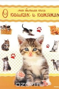 Книга Моя большая книга о кошках и котятах
