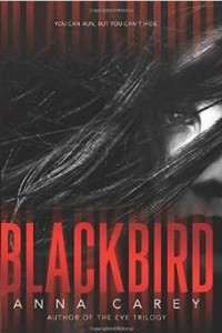 Книга Blackbird