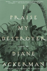 Книга I Praise My Destroyer: Poems
