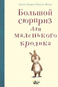 Книга Большой сюрприз для маленького кролика