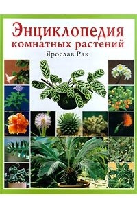 Книга Энциклопедия комнатных растений