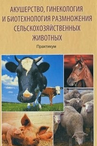 Книга Акушерство, гинекология и биотехнология размножения сельскохозяйственных животных