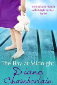 Книга The Bay at Midnight