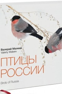 Книга Птицы России