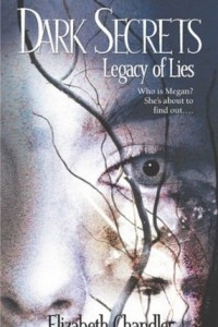 Книга Legacy of Lies
