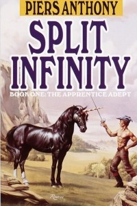 Книга Split Infinity