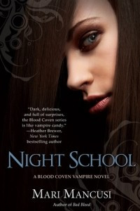 Книга Night school